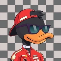 Danger Valley Ducks