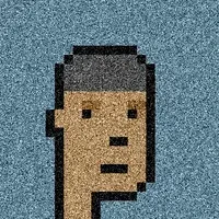 NoisedPunks