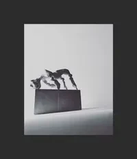 Rodeo posts