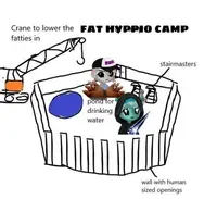 HYPPIO FATTY CAMP - NOW HYPERICADO ON HL