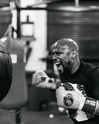 Floyd Mayweather - Autograph Collection