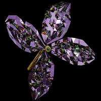 Royal Blossom