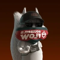 SQRLS FLOW GENESIS OFFICIAL