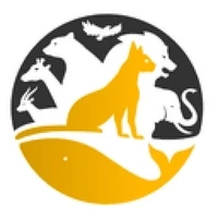 CryptoServal P2E