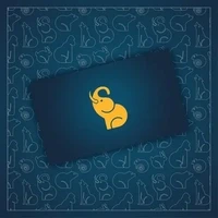 Conservation Cards