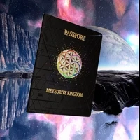 MeTeorite Kingdom Passport