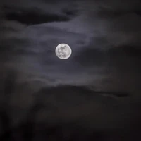 Bright moon