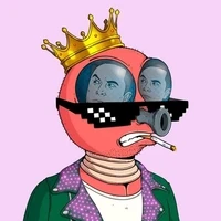 0xDegen Fly