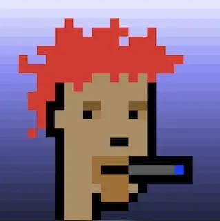 zkPunks 4f55a5
