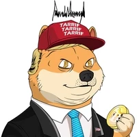 Trump Doge Club