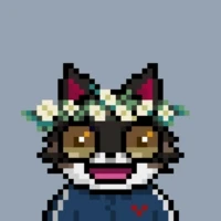 Hype Catz