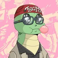 Gecko Groove