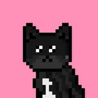 Solana Strays