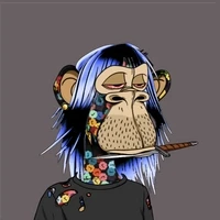 Checks Ape Gang