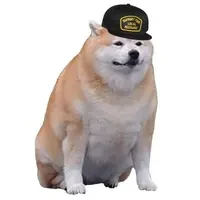 doge