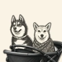 Cocoro Art