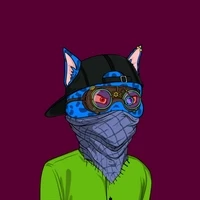 Cheeky Mayhem Cats