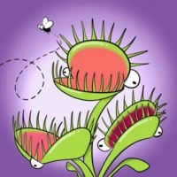 Fly Frogs Flytrap