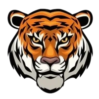 Tiger #