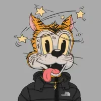 Degenerate Toonz