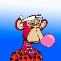 OG Apes YC