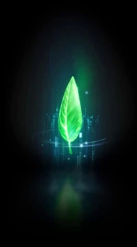 Impact Passport Token