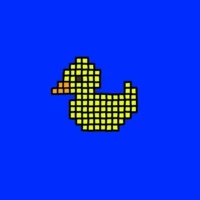 Ducks on Ape