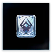 Agent Pass