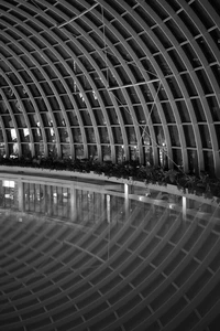 Monochromatic Abberration