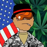 Battle Budiez