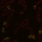 Crypto Heat Map