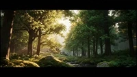 Harmony With Nature : Special Edition (Gracewoven NFT Collection)