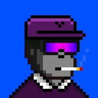 Code Monkeez