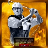 Trump DigitaI Golden Card