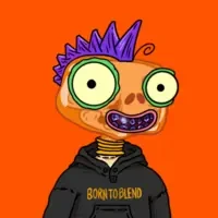 Punkameleons
