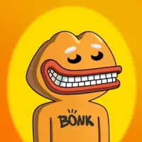bonk partners
