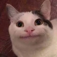 BELUCAT