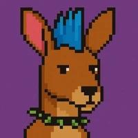 Kangaroo Punks