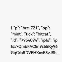 Bitcat