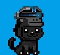 TINY APE HATS KITTIES