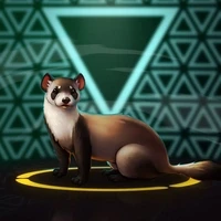 Qorbi World Pets