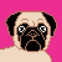 Mango The Pug