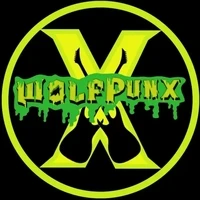 WolfpunX Lead Guitarist