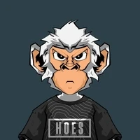 Hooter