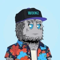 Based Wookz