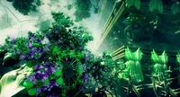 Fractal Biodiversity Open Edition by Julius Horsthuis