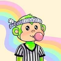 Celebrity Monkey