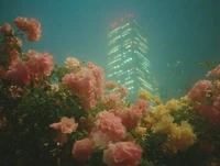 Frontier Tower Signatories