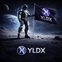 YLDX RWA Index Collection