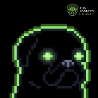 Mutated Pug
